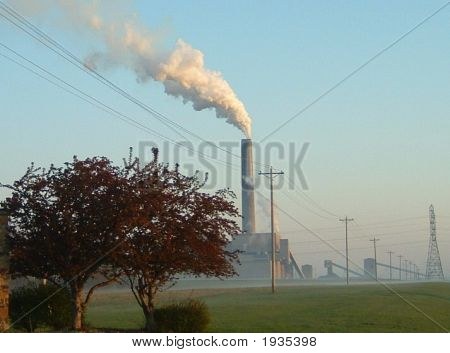 Uhelných rostlin
