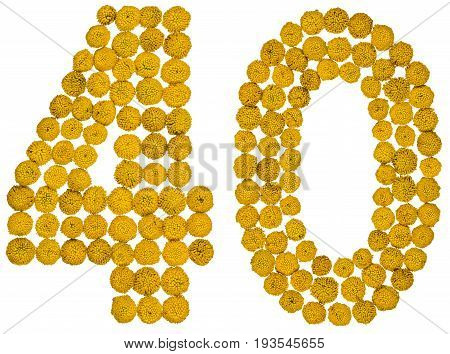 Arabic Numeral 40, Forty, From Yellow Flowers Of Tansy, Isolated On White Background