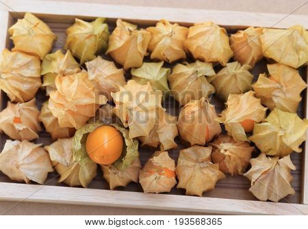Cape gooseberry fruits in wooden box brown autumn crops background top view.