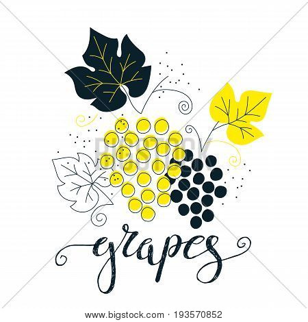 Hand drawn grapes illustration with lettering. Fresh natural fruit background. Vector banner, paster, package design. Natural food market concept. Organic design