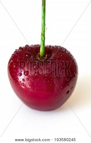 One red cherry with water drops isolated on white background close up macro