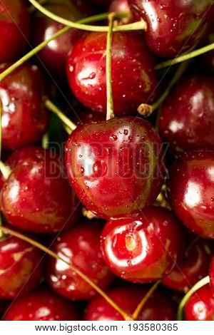 Sweet ripe red cherries close up with water drops full screen