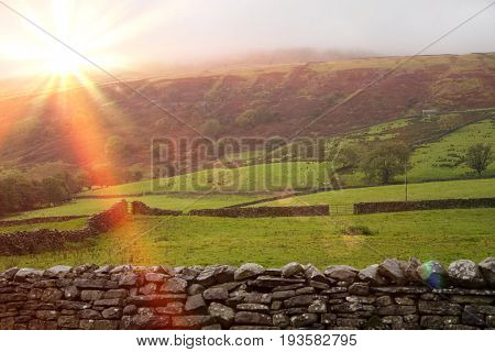 Fields in Yorkshire Dales, Yorkshire, England