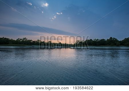 Beauty of Sundarbans mangroves and tiger reserve in India