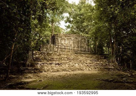 Muyil Ancient Maya Sites, Yucatan Peninsula In Mexico