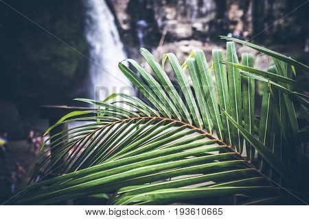 Waterfall deep in the tropical rain forest of Ubud, trpical Bali island.