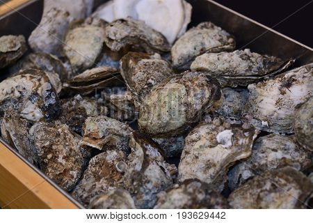 Fresh Opened Oysters In Market As Background