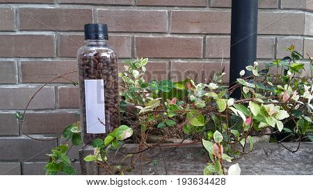 coffee bean in transparent bottle on the flowerpot