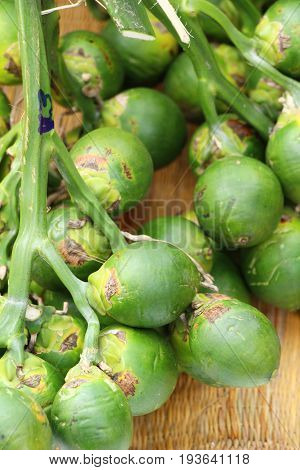 Betel parm on tree with the nature