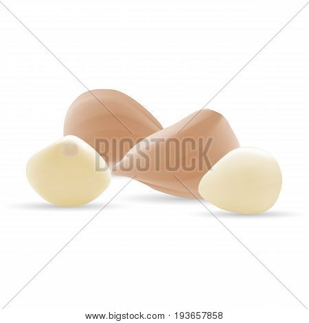Fresh Garlic Isolated On A White Background. Realistic Vector Illustration.