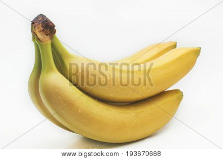 Branch green bananas with water drops isolated on a white background.