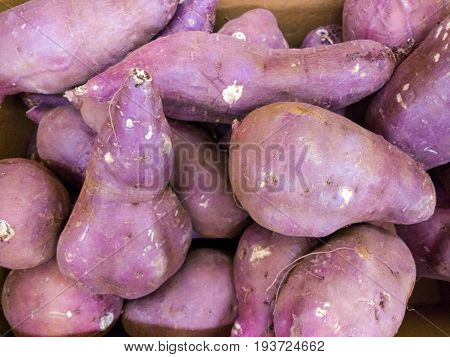 Sweet potato sold at the food mart