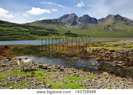 View of the Blabheim mountain (Red Cuillin Hills) behind Loch Slapin near Torrin, Isle of Skye, Highlands, Scotland, UK