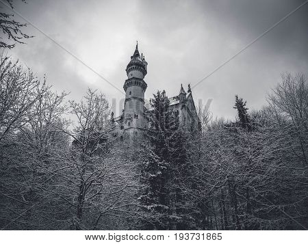 Black and white winter view of Neuschwanstein castle