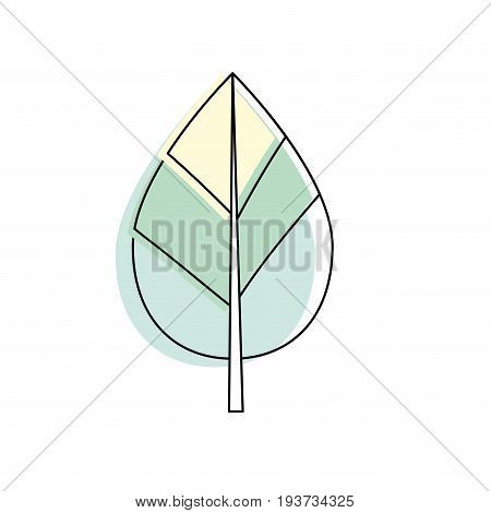 natural leaf botany of tropical plant vector illustration