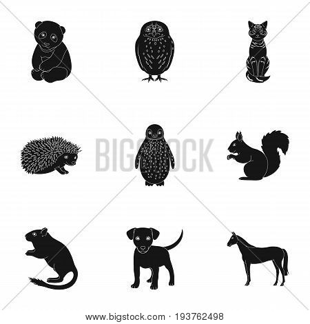 Deer, tiger, cow, cat, rooster, owl and other animal species.Animals set collection icons in black style vector symbol stock illustration .