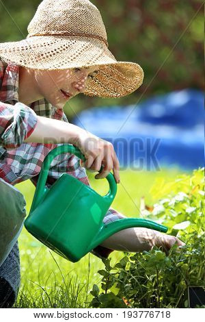 Watering plants on the beds. Woman plants plants in backyard garden.