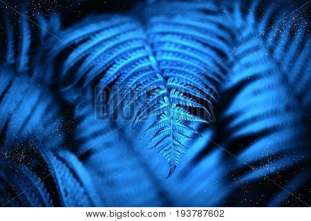 Perfect natural fern pattern. Beautiful background made with young green fern leaves. Seleclive focus. Place for text.