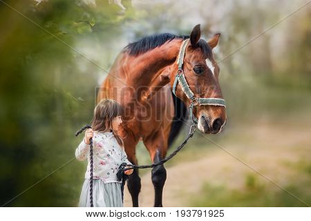 Girl with her friend - horse walking on summer field