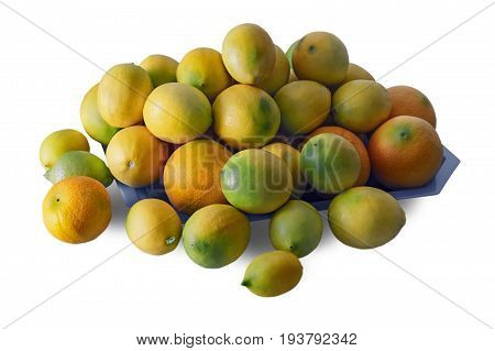 Oranges, tangerines, lemons and limes isolated on white background