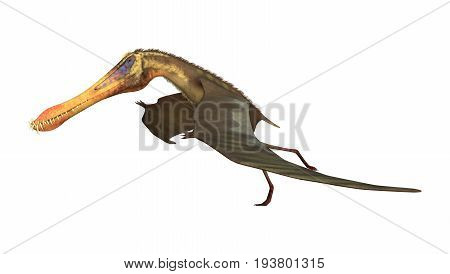 3D Rendering Pterodactyl Anhanguera On White