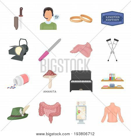 Hunting, education, art and other  icon in cartoon style.Health, weapon, beauty icons in set collection.