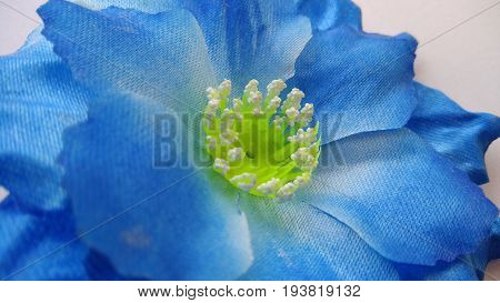 blue Origami or Artificial cotton flowers on white background