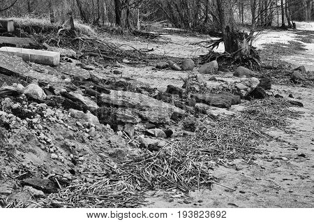 Coast of the Gulf of Finland in the town of Sestroretsk destroyed by anthropogenic human activities