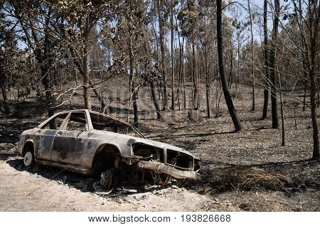 Burnt car pushed aside the road before a burnt forest caused by a massive forest fire. Pedrogao Grande Portugal.