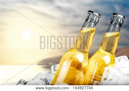 Cold bottles beer bar pub yellow nobody