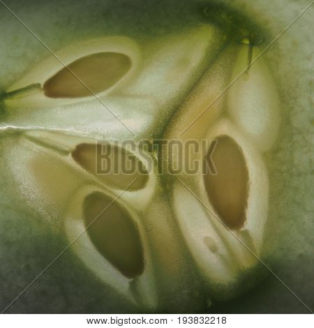 The cucumber in the slit clearance. Expose the seeds of the fruit. Macro