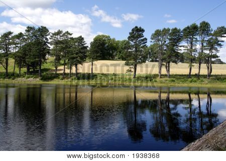 Klub wędkarstwa woda zachód