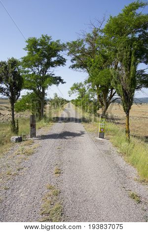 Green Way Black Eyes In Its Passage By Barracas In Castellon