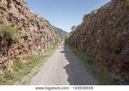 Green Way Black Eyes In Its Passage By Barracas In Castellon