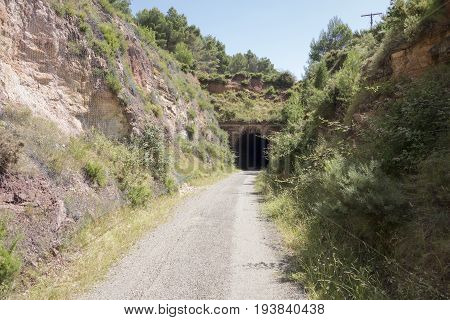 Green Way Black Eyes In Its Passage By Barracas In Castellon