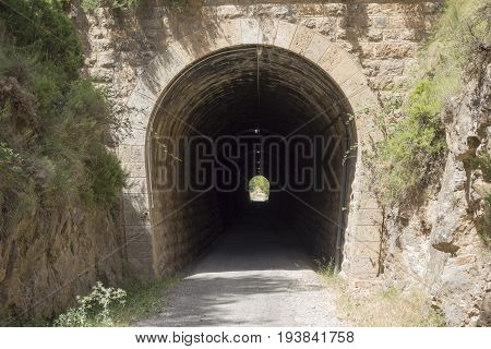 Green Way Black Eyes In Its Passage By Barracas In Castellon