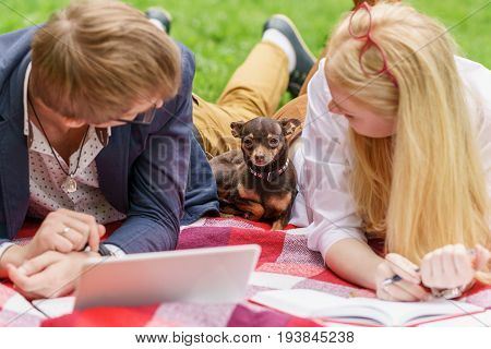 Small dog sitts forgotten between two people on blanket at sunny day