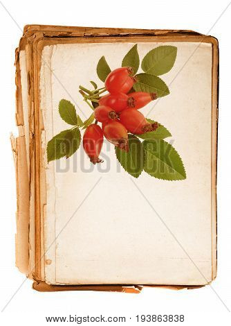 old book - old paper texture in detail