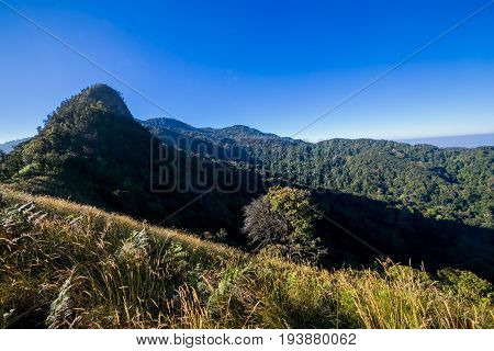 The Spectacular jungle landscape with mountain range