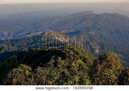 Spectacular jungle landscape with the mountain range