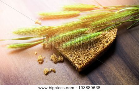 Fresh green wheat with a slice of bread on a wooden background