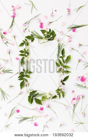 Flowers composition. Frame made of pink carnation flowers rose petals needle-shaped and big astilba green leaves on white background. Flat lay top view.