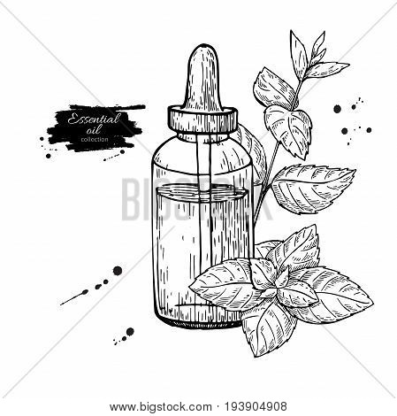 Mint essential oil bottle and peppermint leaves hand drawn vector illustration. Isolated plant drawing for Aromatherapy treatment, alternative medicine, beauty and spa, cosmetic ingredient.