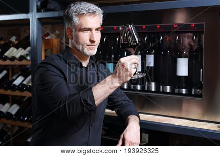 wine cooler. Red wine, man evaluates the color of wine in a glass