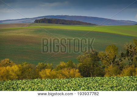 autumnal landscape - Europe Czech Republic Moravia Kyjov