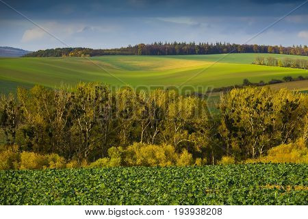 autumnal landscape - Europe Czech Republic Moravia Kyjov