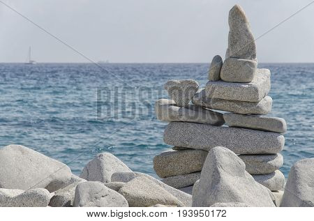 Practical example of perfect balance in nature
