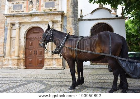 Horse carts shown on the main square of medieval town of Obidos church of Santa Maria at background. Horse cart riding very popular tourist attraction in Obidos
