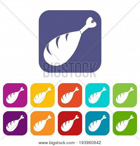 Meat on the bone icons set vector illustration in flat style In colors red, blue, green and other