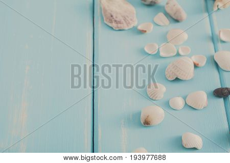 Seashells on blue wood, sea vacation background with copy space on wooden planks